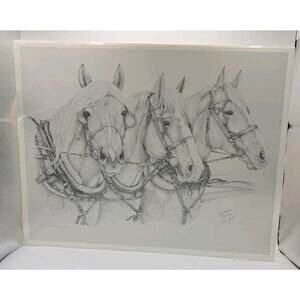 Sue Rupp Horses Pencil Drawing ‘The Girls' Signed Numbered 295/950